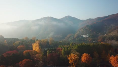 Aerial-view.-Sunrise-Autumn-at-Nami-island-,Seoul-Korea