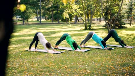 Deportistas-chicas-guapas-están-practicando-yoga-al-aire-libre-en-Parque-de-la-ciudad-haciendo-ejercicios-en-colchonetas-brillantes-usar-ropa-deportiva.-Concepto-naturaleza,-bienestar-y-actividad.