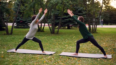 Slim-young-ladies-are-training-outdoors-in-park-doing-hatha-yoga-together-during-pair-practice-and-breathing-fresh-air.-Beautiful-autumn-nature-and-people-are-visible.