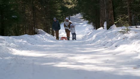 Madre-y-niños-caminando-en-bosque-del-invierno