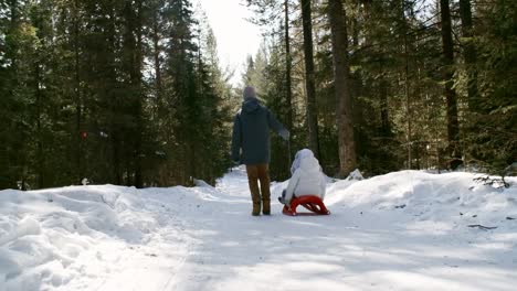 Niño-jugando-con-la-hermanita-en-bosque