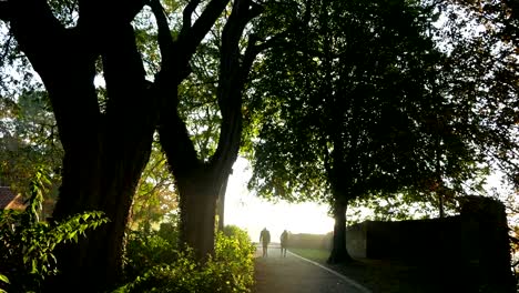 Ersten-Weltkrieg-in-Belgien:-Ypern-heute-Herbst-Wälle-Wanderweg