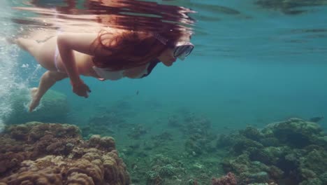 Young-woman-in-swimsuit-and-snorkel-mask-swimming-under-water-and-watching-coral-reef-and-sea-fish.-Woman-snorkeling-in-ocean-water.-Beautiful-underwater-world-and-marine-life.