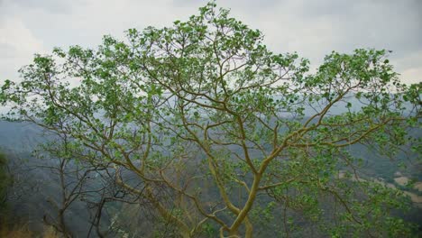 Puebla-Sirra-Madre-Oriental-Mountains