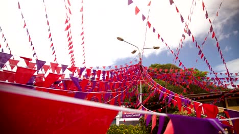street-decoration-during-election-day-in-mauritius