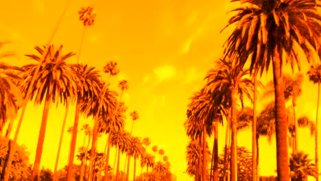 Beverly-Hills-palm-Bäume-dramatischen-Sonnenuntergang-HD