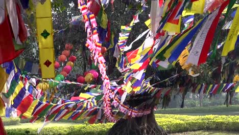 Bäume-mit-den-buddhistischen-Beten-flags-Buddha-Geburtsort-in-Lumbini,-Nepal