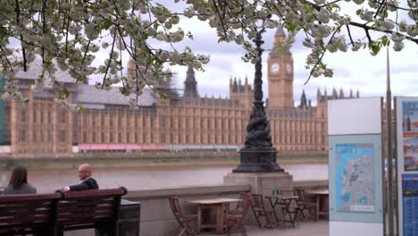 Londres,-resorte,-casas-del-parlamento-de-Albert-Embankment