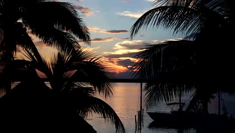 Sunset-through-palm-tree-leafs-silhouette-on-beach