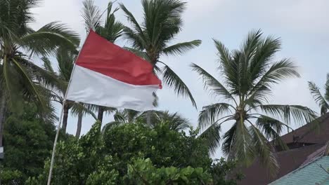 Die-Flagge-von-Indonesien-entwickelt-Wind-vor-dem-Hintergrund-der-Palmen-am-tropischen-Strand