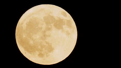 Full-moon-rising-from-behind-trees