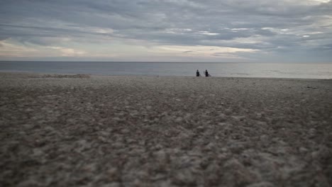 Surfers-on-beach