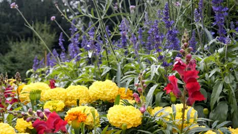 Cama-de-flores-en-el-parque-de-la-colina-de-Canon,-Birmingham.