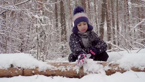 Chica-limpia-nieve-de-un-tronco-en-el-bosque