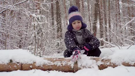 Girl-cleans-snow-from-a-log-in-the-woods