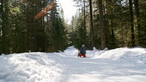 Rodeln-im-wunderschönen-Winterwald-Geschwister