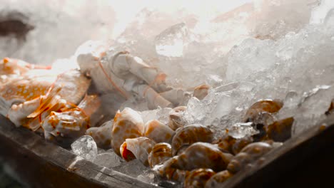 Fresh-seafood-on-ice.