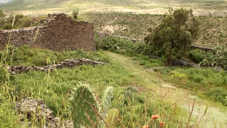 Antigua-paredes-construida-por-Wari-personas