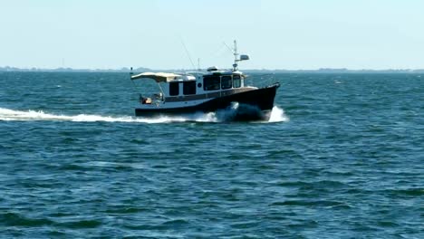 Barco-Pesquero-Cruceros-por-la-Bahía-de-Tampa