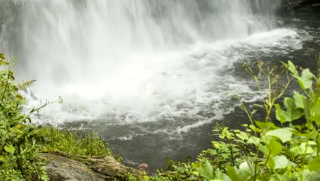 Cataratas-Looking-Glass,-Carolina-del-Norte,-agua,-impactos-con-hojas-verdes