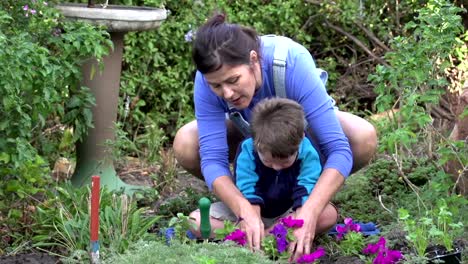 Mother-and-child-planting-flower-seedlings-in-the-garden,-South-Africa