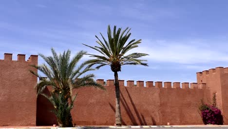 Pared-roja-y-Palma-árbol