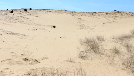 A-man-walks-through-the-desert