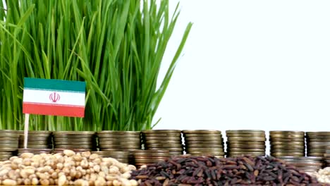 Iran-flag-waving-with-stack-of-money-coins-and-piles-of-wheat-and-rice-seeds