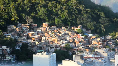 Chapéu-Mangueira-de-Morro-do