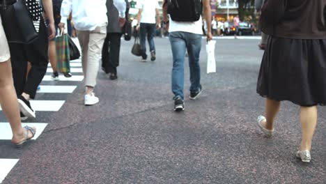 People-walking-on-the-crosswalk-(Slow-Motion-Video)-Shibuya-in-Summer