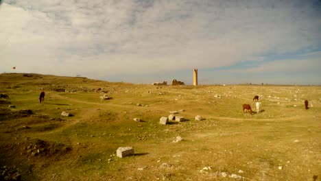 a-wasteland,-a-horse,-the-ruins-of-an-old-Muslim-university-near-the-border-between-Turkey