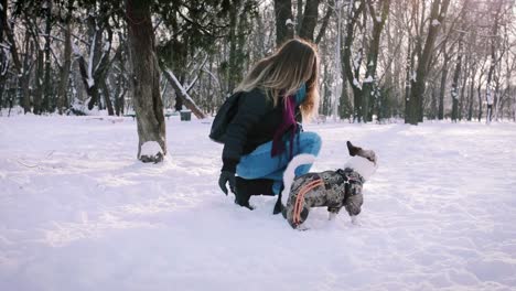 Young-woman-playing-with-Jack-Russell-terrier-in-winter-time-in-snow,-slow-motion