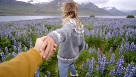 Follow-me-to-Iceland,-girlfriend-leading-man-to-flower-lupine-field-near-lake-and-mountains-People-travel-concept--4K-video