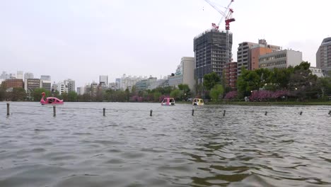 Barcos-en-el-estanque-de-Shinobazu-en-Parque-de-Ueno,-panorama-en-el-centro-de-Tokio