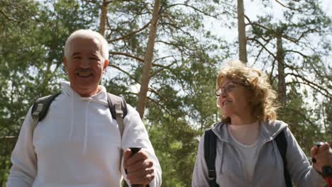 Happy-Seniors-with-Trekking-Poles-Enjoying-Hike