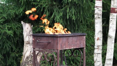 Fuego-arde-en-la-parrilla-de-hierro-oxidado.