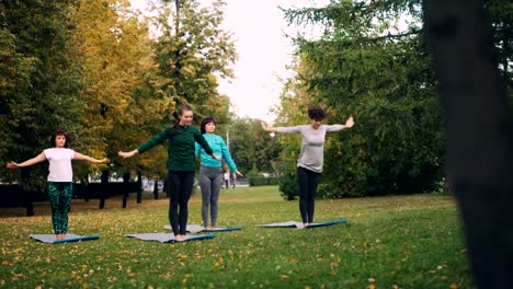 Pretty-yogini-women-are-doing-exercises-in-park-stretching-back-and-legs-standing-on-mats-on-grass.-Healthy-lifestyle,-sports-and-modern-youth-concept.