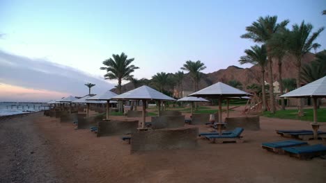 Egypt-Dahab-palm-trees-and-sea