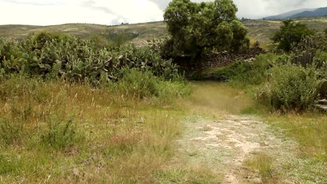 Countryside-landscape-in-Peru