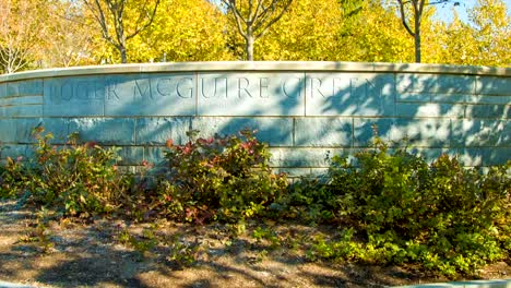 Roger-McGuire-Grünen-auf,-der-Pack-Square-Park-in-Asheville,-NC