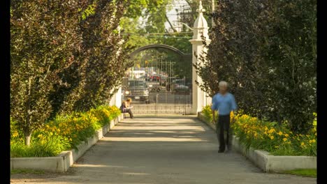 Trinity-Bellwoods