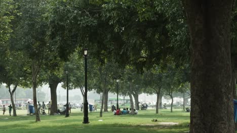 Time-lapse-shot-of-people-in-a-park,-Delhi,-India