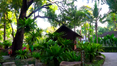 Single-storey-tourist-houses-immersed-in-the-greenery-on-the-island.