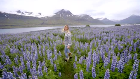 Follow-me-to-Iceland,-girlfriend-waving-hand-at-man-to-flower-lupine-field-near-lake-and-mountains-People-travel-concept--4K-video