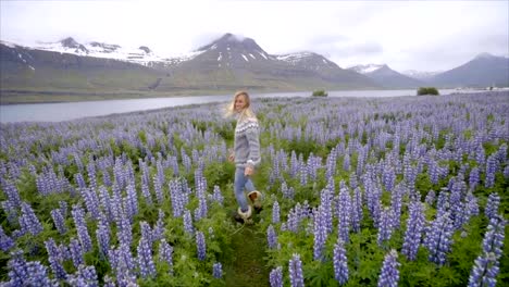 Folgen-Sie-mir-in-Island,-Freundin,-Mann,-lupine-Blumenfeld-in-der-Nähe-von-See-Hand-winken-und-Berge-Menschen-reisen-Konzept---4K-video