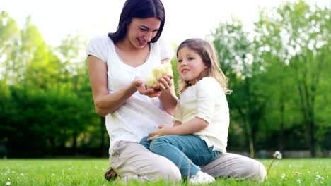 Die-besten-Momente-aus-dem-Leben,-das-süße-Mädchen-spielt-im-Park-mit-kleinen-chickens(yellow)-auf-dem-Hintergrund-der-grünen-Rasen-und-Bäumen,-das-Konzept:-Kinder,-Liebe,-Ökologie,-Umwelt,-Jugend.