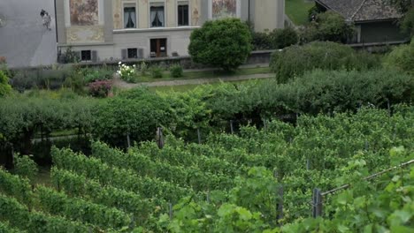 Historische-Gebäude-Unteres-Curtihaus-in-Rapperswil-Schweiz-und-malerische-Landschaft