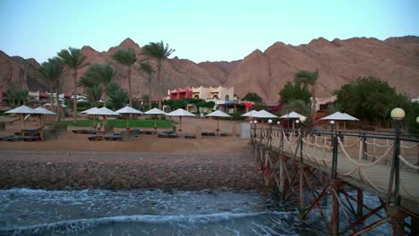 Egypt-Dahab-palm-trees-and-sea