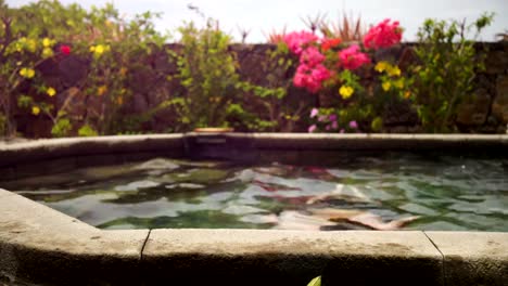 Hombre-disfrutando-del-sol-en-la-piscina