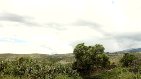 Countryside-landscape-in-Peru